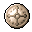 Viking Shield